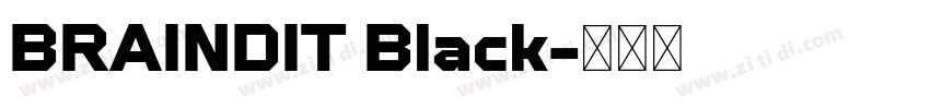 BRAINDIT Black字体转换